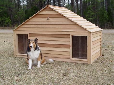 dog houses for sale india